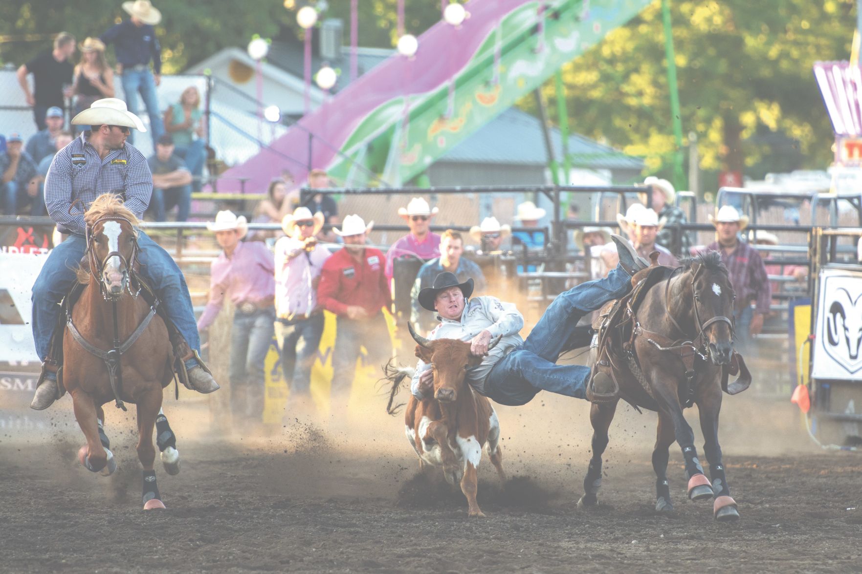 Rodeo cowboy